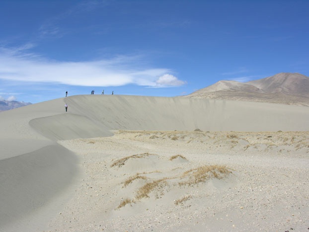 Barchan dunes