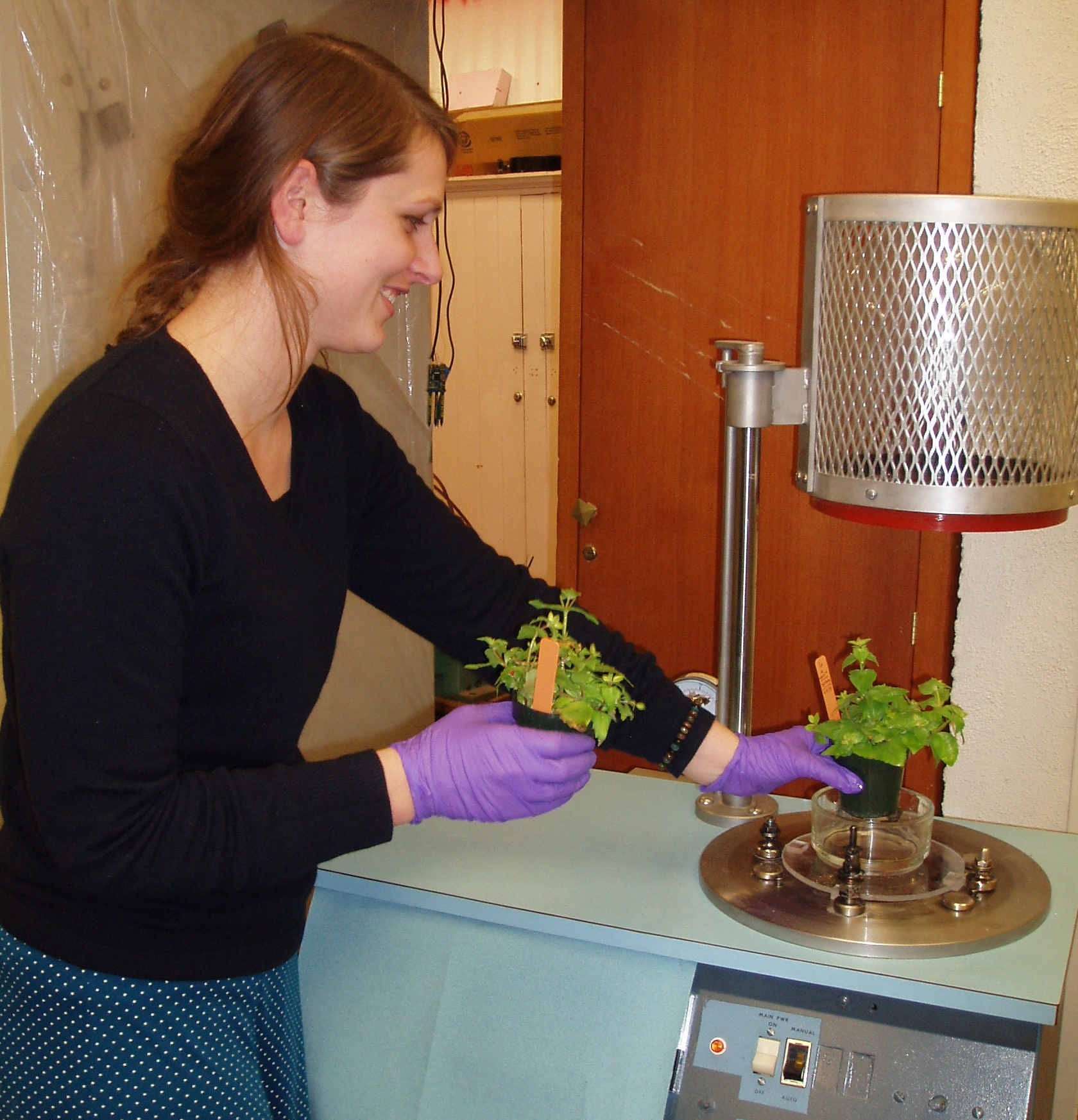 Kimmy Stanton prepares to transform Mimulus