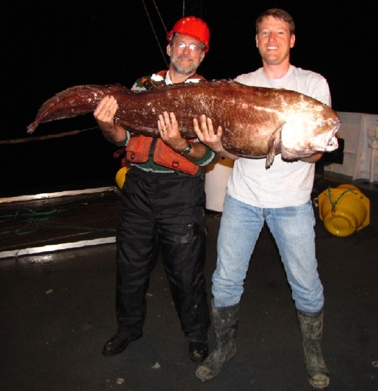 The Blob Sculpin, it lives off the continental shelves in very