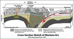 mariana profile